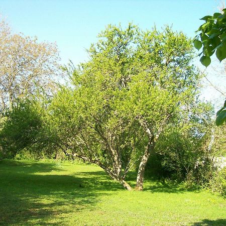 Chez Scallan B&B Sens sur Seille Eksteriør bilde